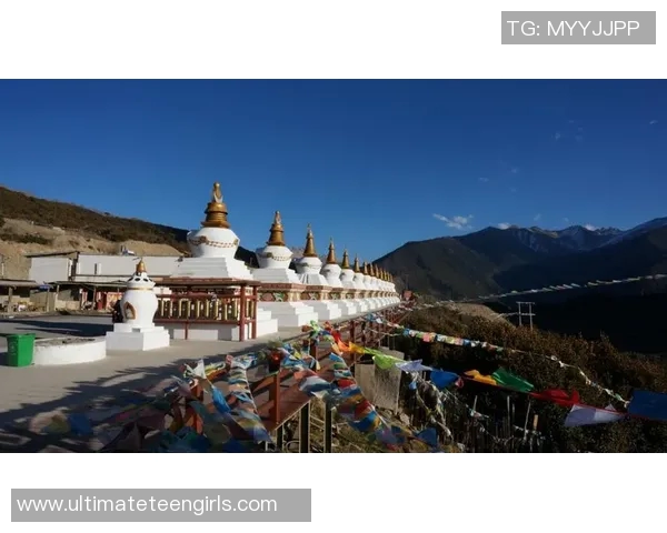 南京排球队逆袭之旅挑战赛特别报道展现团队精神与拼搏历程