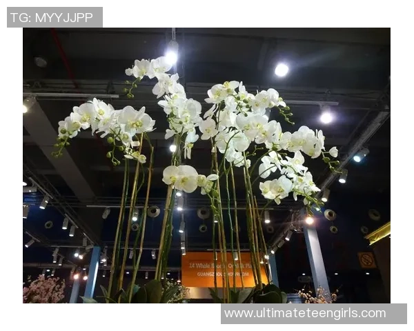 深圳与广州篮球队赛后复盘心理素质分析与反思